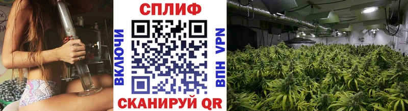 Шишки марихуана индика  Славск 